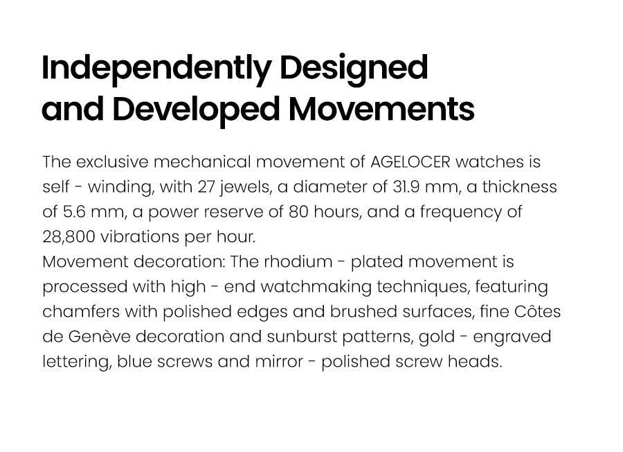 AGELOCER Original Astronomer Watch Van Gogh Oil Painting Men Luxury Automatic Mechanical Moon Phase Watch Birthday Gift for Men