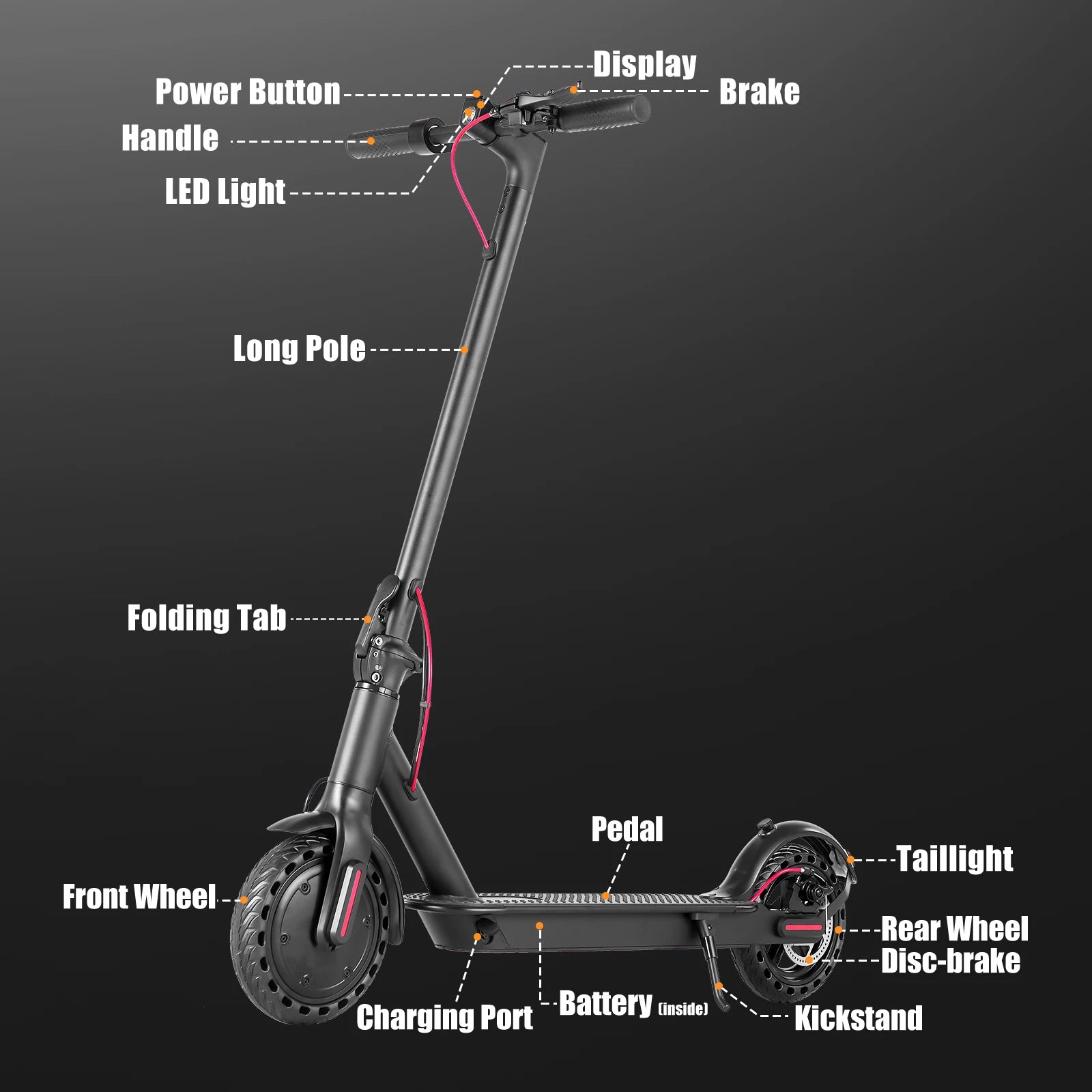 Electric Scooter for Men and Women 8.5" Solid Tire 19mph Power by 350W Motor Long Range Folding Commuting E Scooter